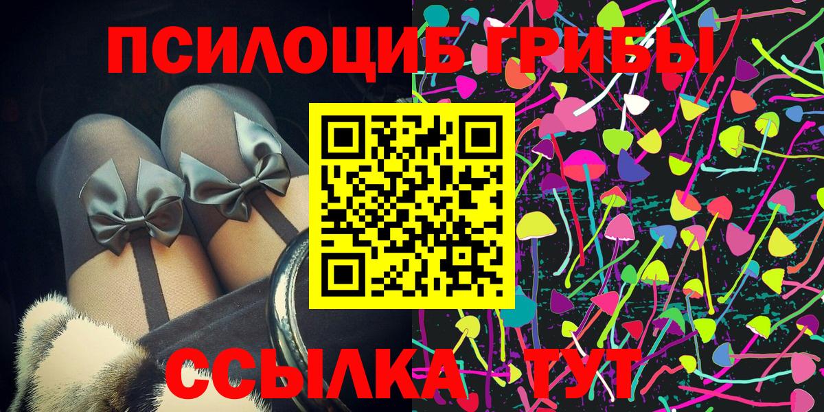 Галлюциногенные грибы Psilocybe Комсомольск-на-Амуре
